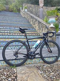 FOCUS IZALCO PRO MAX