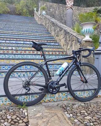 FOCUS IZALCO PRO MAX