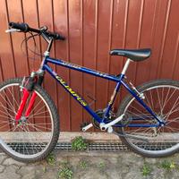 Bici Olimpus ragazzo