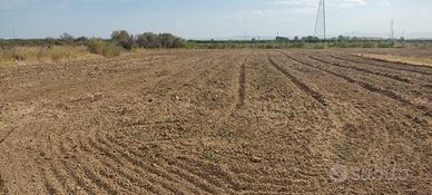 Terreno agricolo ex agrumeto