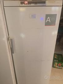 Freezer  aeg