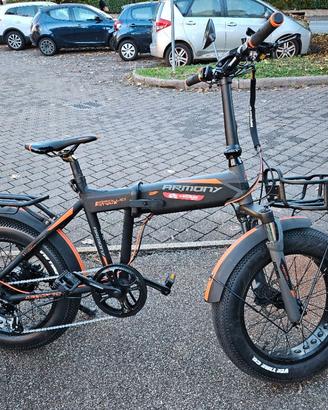 Bicicletta a pedalata assistita