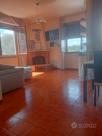 Siena, La Tognazza app.to 110 mq