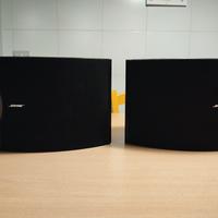 BOSE 301 V COPPIA SPEAKER 