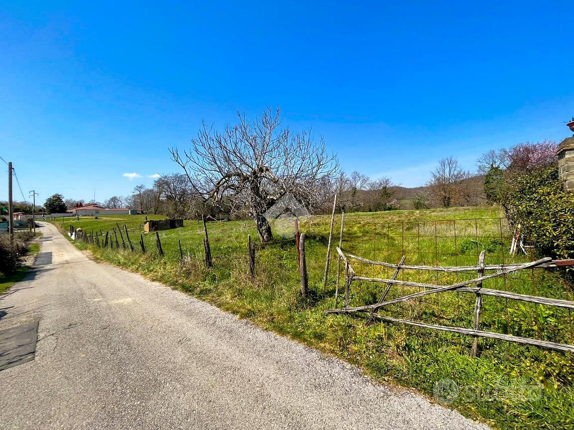 TER. RESIDENZIALE A MANZIANA - Vista 5
