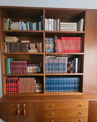 Mobile libreria