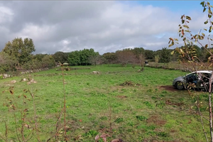 Terreno mq 3105 Bonorva