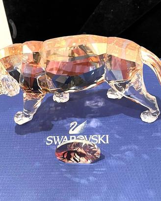 Swarovski Edizione Annuale 2010 TIGRE