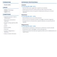 Carrellista mulettista magazziniere