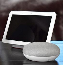 Google nest+home Mini come muovi