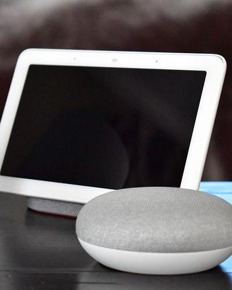Google nest+home Mini come muovi