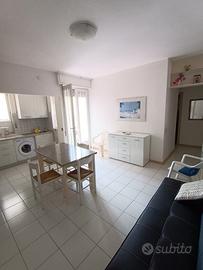 Bibione vicino al centromare