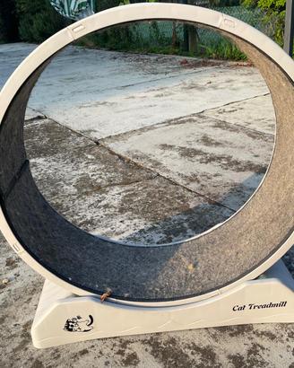 Ruota per esercizi per gatti  tapis roulant