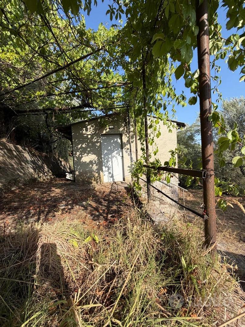 RUSTICO A PALIANO - Vista 5