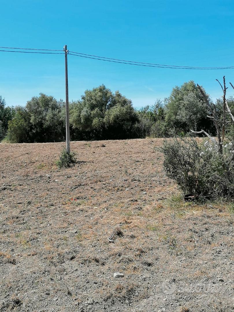 Terreno agro a Sorso - Vista 2