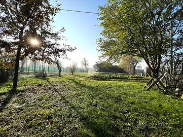 3 LOCALI A VIGONZA