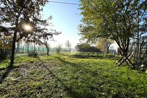 3 LOCALI A VIGONZA
