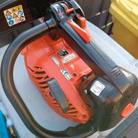 Motosega Echo da potatura