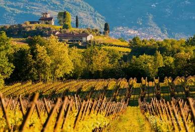 Appartamento in Franciacorta