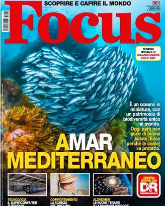 FOCUS