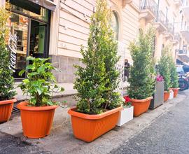 Rif.SIM80| attivita'/lic.commerciale catania