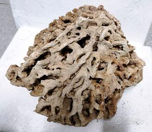 Roccia Marina Naturale cm 29x28 Kg 4,6