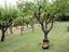 Immagine 26