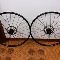 Coppia ruote wtb gravel