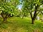 Immagine 21