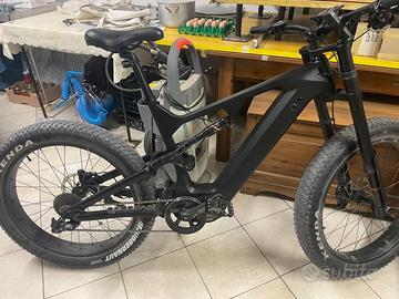 Bici elettrica 1000w