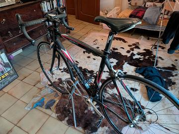 Bicicletta corsa carbonio coppi