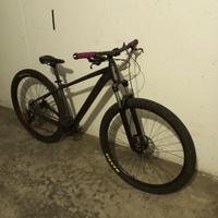 Mountain bike CUBE AIM EX