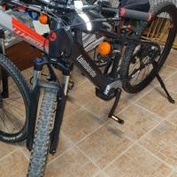 Bicicletta elettrica