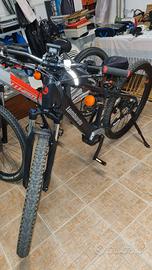 Bicicletta elettrica