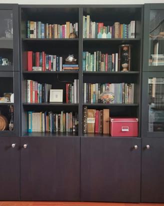Libreria Vetrina Ikea Besta