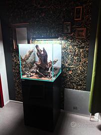 Acquario completo tropicale