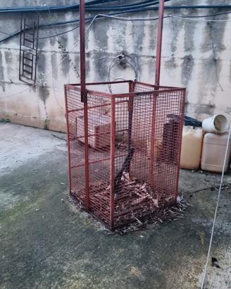 vengo per liberare piazzale
