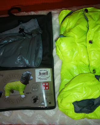 Accessori nuovi cane Ferribiella