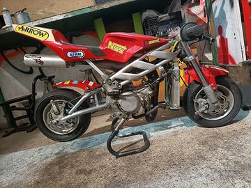 Minimoto Replica Blata C1