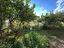 Immagine 26