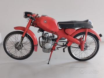 Motom Junior 48 SPORT