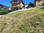 Immagine 11