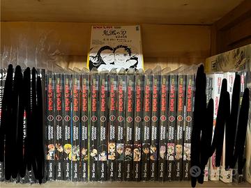 Demon slayer serie completa 1-17 manga