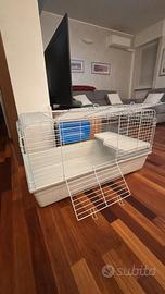 Gabbia Coniglio indoor con Accessori