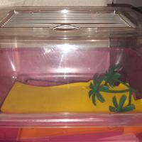 Tartarughiera in plastica piccola