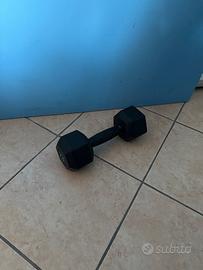 Peso  Palestra 7.5Kg
