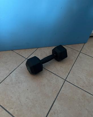 Peso  Palestra 7.5Kg