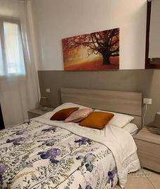 Bilocale con giardino a Biassono