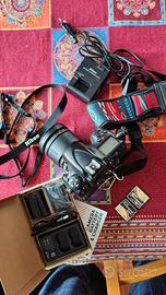 Nikon D800