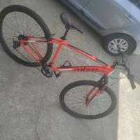 Mountain bike